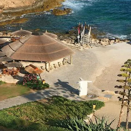 Cynthiana 3* Kisonerga