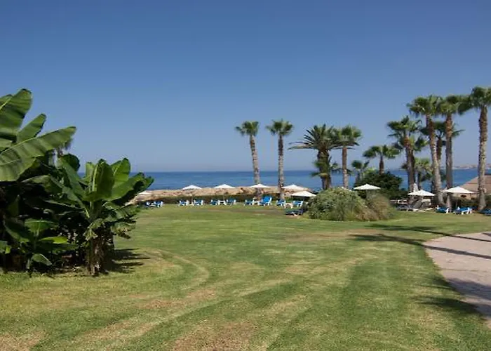 Cynthiana Kissonerga